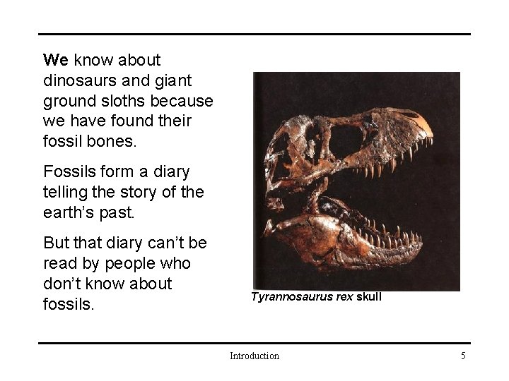 Fossils and the Stories They Tell 1 Table