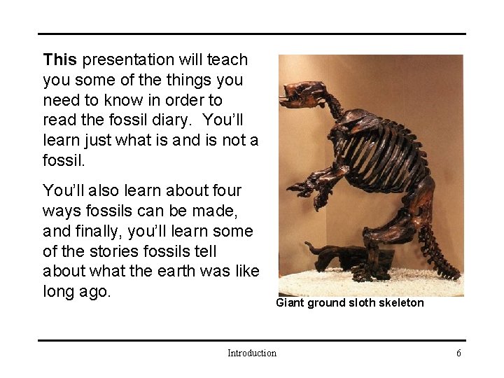 Fossils and the Stories They Tell 1 Table