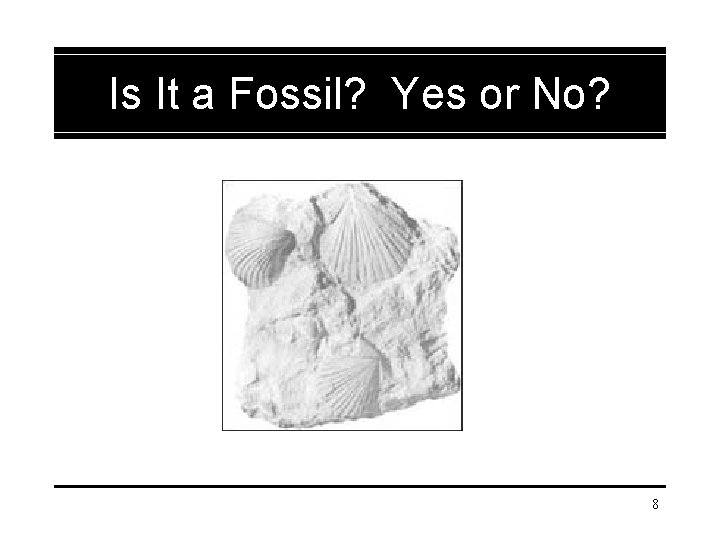 Fossils and the Stories They Tell 1 Table