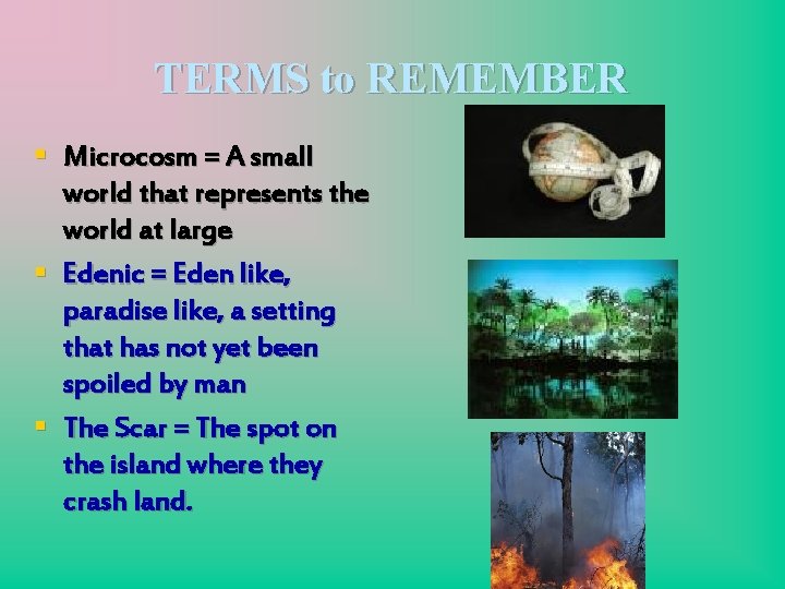 TERMS to REMEMBER § Microcosm = A small world that represents the world at
