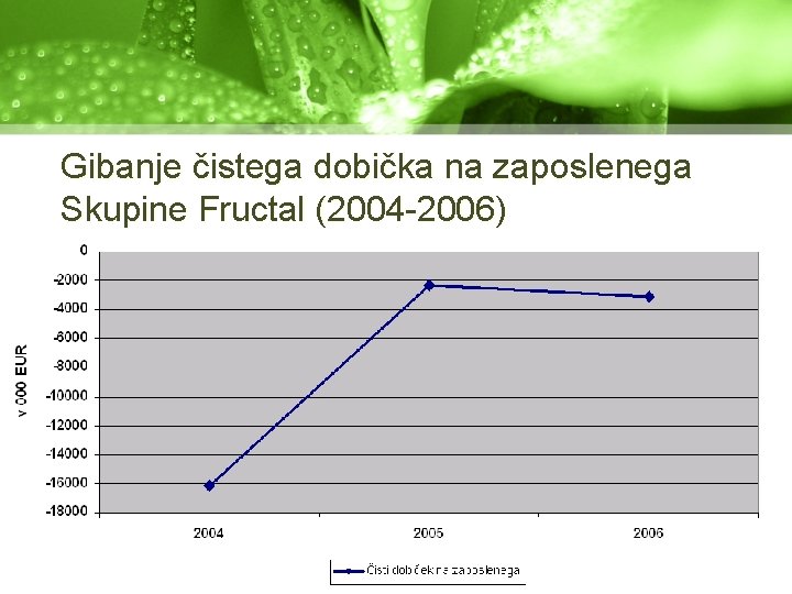 Gibanje čistega dobička na zaposlenega Skupine Fructal (2004 -2006) 