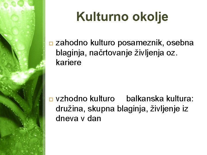 Kulturno okolje zahodno kulturo posameznik, osebna blaginja, načrtovanje življenja oz. kariere vzhodno kulturo balkanska