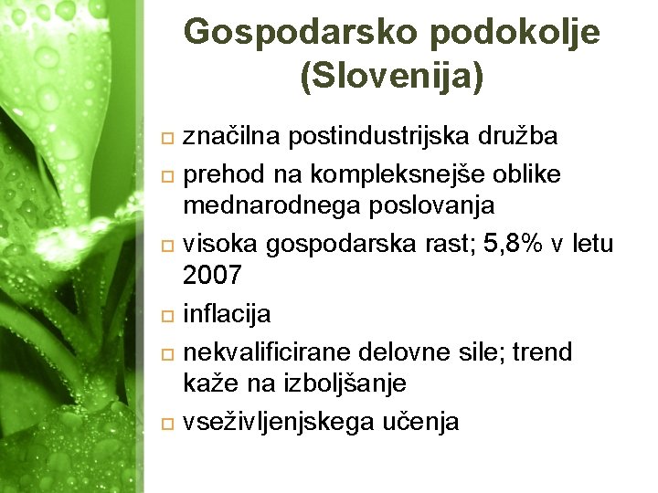 Gospodarsko podokolje (Slovenija) značilna postindustrijska družba prehod na kompleksnejše oblike mednarodnega poslovanja visoka gospodarska