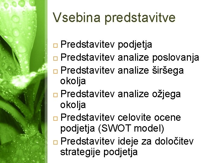 Vsebina predstavitve Predstavitev podjetja Predstavitev analize poslovanja Predstavitev analize širšega okolja Predstavitev analize ožjega