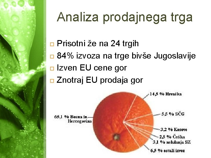 Analiza prodajnega trga Prisotni že na 24 trgih 84% izvoza na trge bivše Jugoslavije