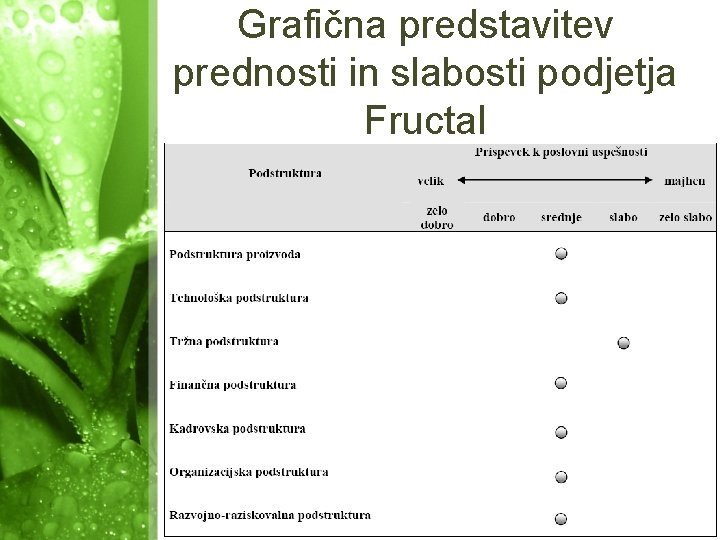 Grafična predstavitev prednosti in slabosti podjetja Fructal 