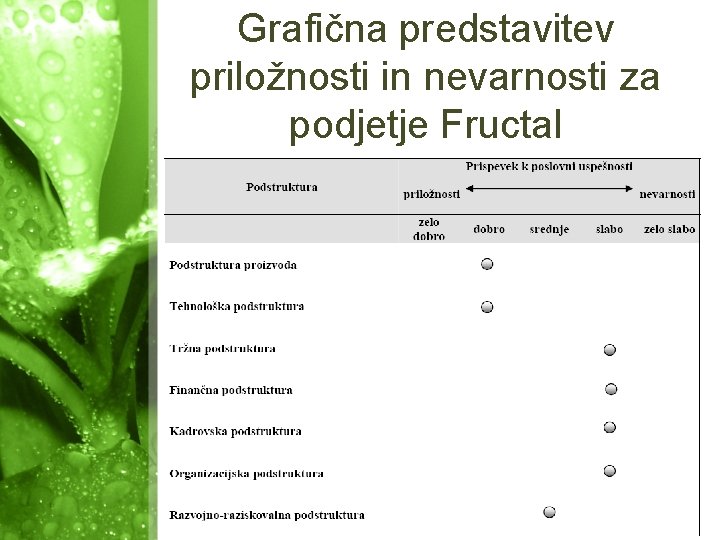 Grafična predstavitev priložnosti in nevarnosti za podjetje Fructal 