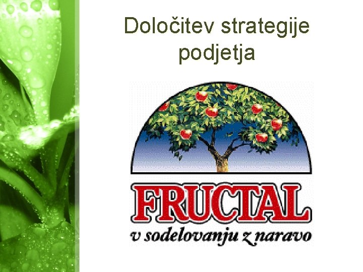 Določitev strategije podjetja 