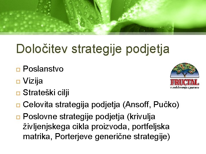 Določitev strategije podjetja Poslanstvo Vizija Strateški cilji Celovita strategija podjetja (Ansoff, Pučko) Poslovne strategije