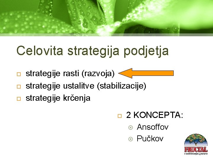 Celovita strategija podjetja strategije rasti (razvoja) strategije ustalitve (stabilizacije) strategije krčenja 2 KONCEPTA: Ansoffov