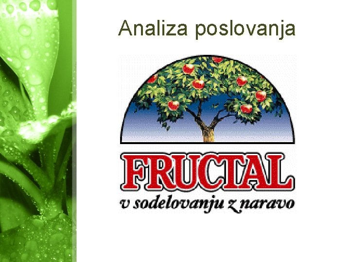 Analiza poslovanja 