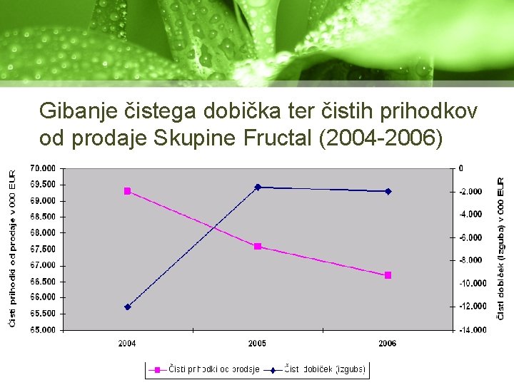 Gibanje čistega dobička ter čistih prihodkov od prodaje Skupine Fructal (2004 -2006) 