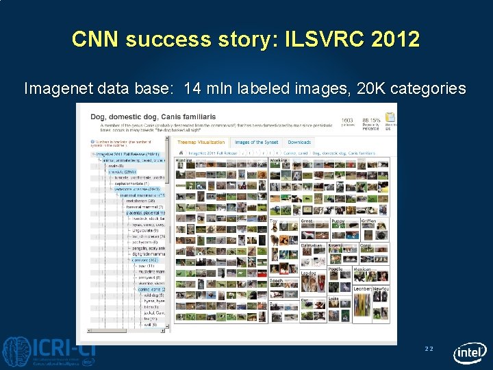 CNN success story: ILSVRC 2012 Imagenet data base: 14 mln labeled images, 20 K