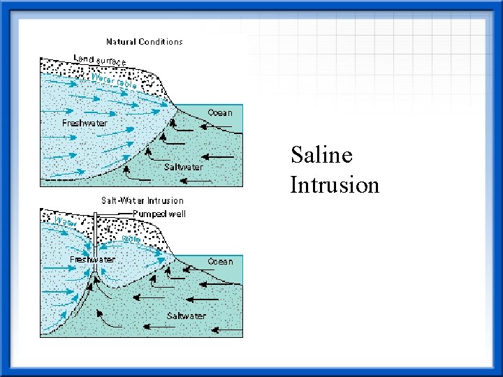 Saline Intrusion 