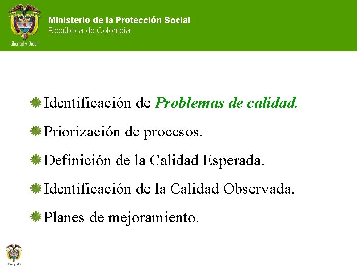 Ministerio de la Protección Social República de Colombia Identificación de Problemas de calidad. Priorización