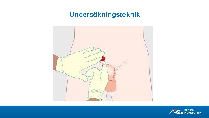 Undersökningsteknik 