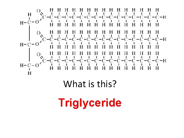 What is this? Triglyceride 