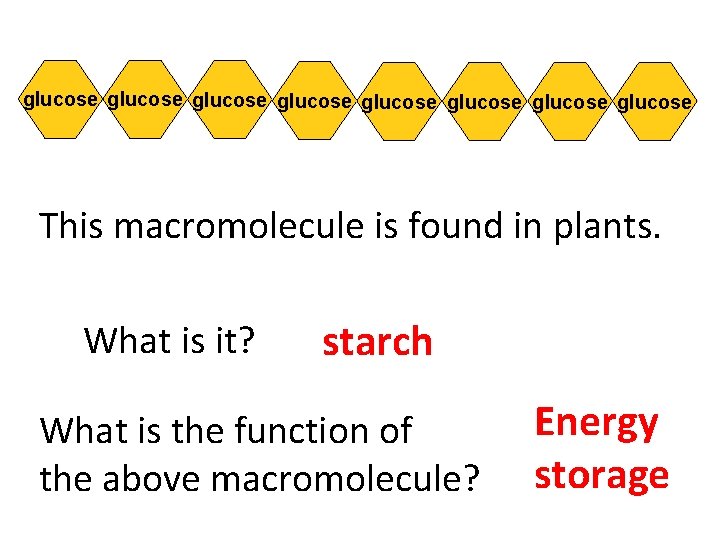 glucose glucose This macromolecule is found in plants. What is it? starch What is