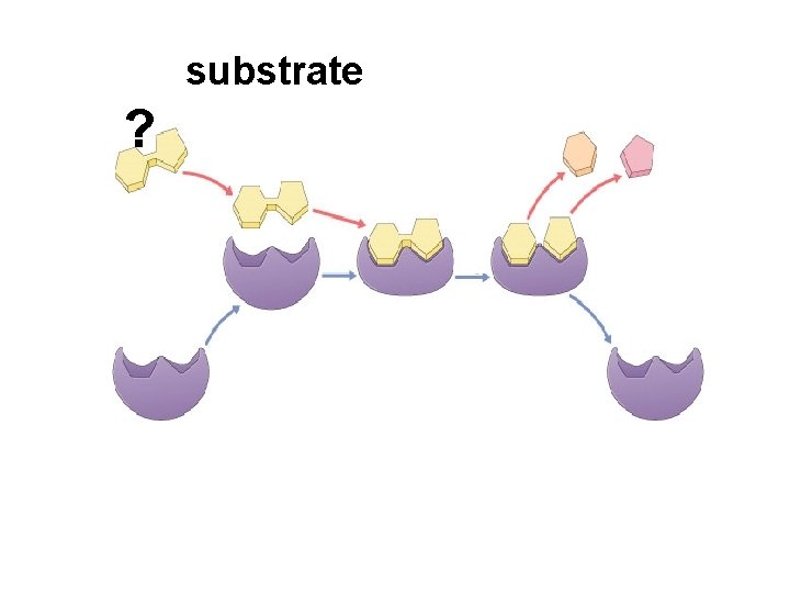 substrate ? 