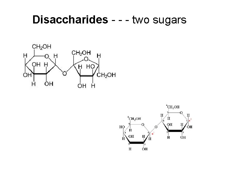 Disaccharides - - - two sugars 