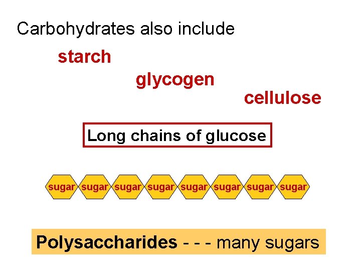 Carbohydrates also include starch glycogen cellulose Long chains of glucose sugar sugar Polysaccharides -