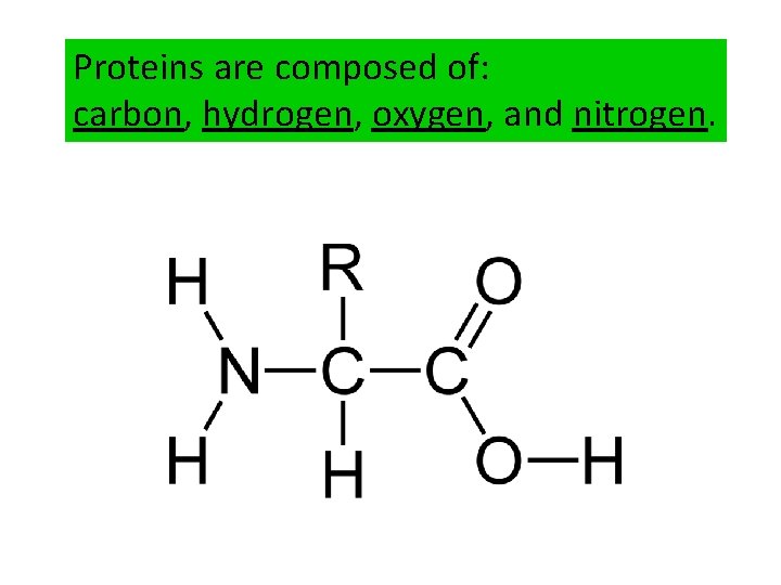 Proteins are composed of: carbon, hydrogen, oxygen, and nitrogen. 