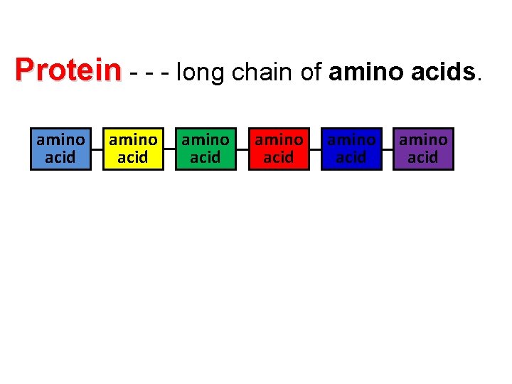 Protein - - - long chain of amino acids. amino acid amino acid amino