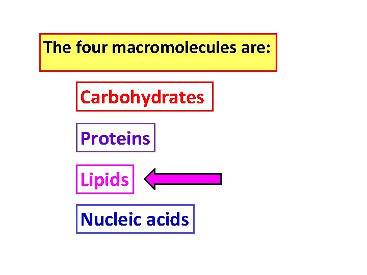 The four macromolecules are: Carbohydrates Proteins Lipids Nucleic acids 