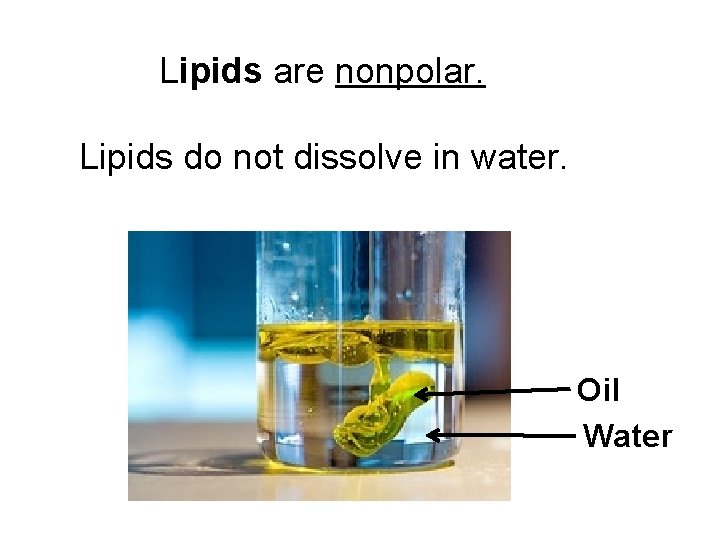  Lipids are nonpolar. Lipids do not dissolve in water. Oil Water 