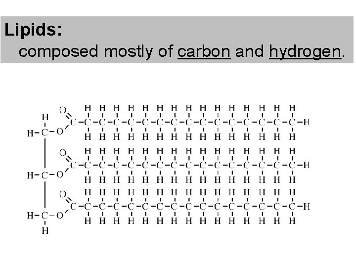 Lipids: composed mostly of carbon and hydrogen. 