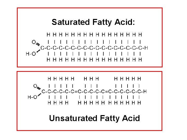 Saturated Fatty Acid: Unsaturated Fatty Acid 