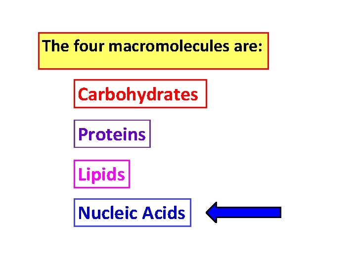 The four macromolecules are: Carbohydrates Proteins Lipids Nucleic Acids 