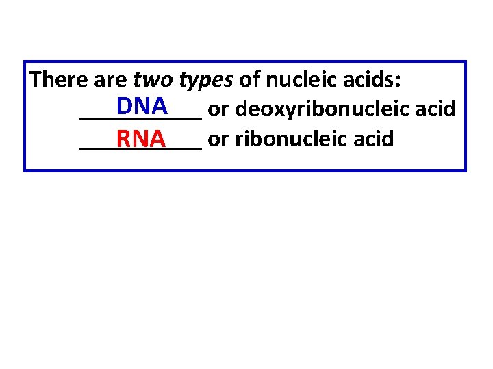 There are two types of nucleic acids: DNA or deoxyribonucleic acid __________ or ribonucleic