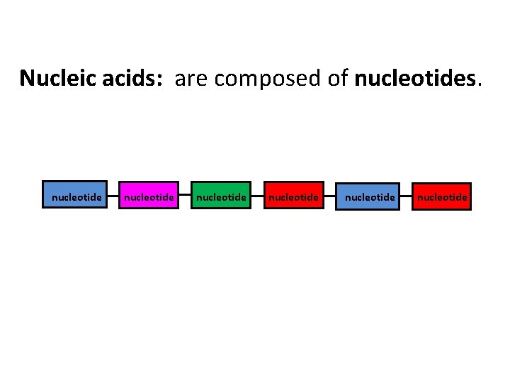Nucleic acids: are composed of nucleotides. nucleotide nucleotide 
