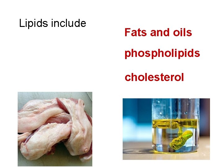 Lipids include Fats and oils phospholipids cholesterol 