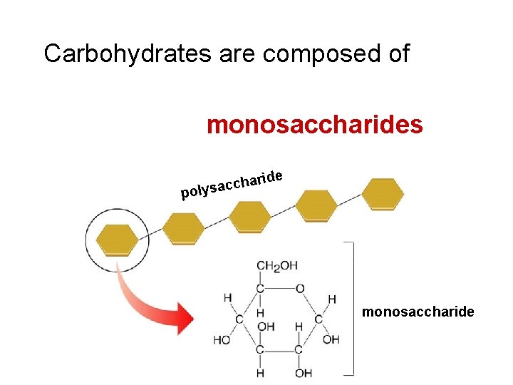 Carbohydrates are composed of monosaccharides de p ari h c c a s oly