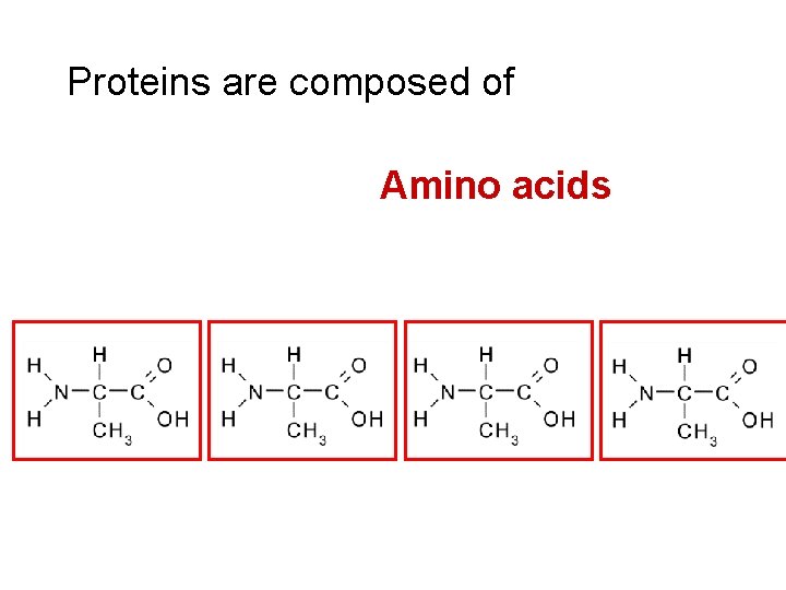 Proteins are composed of Amino acids 