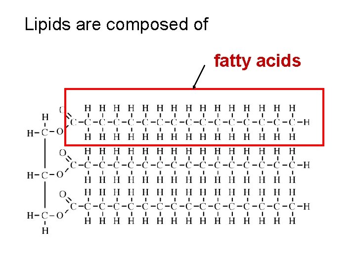 Lipids are composed of fatty acids 