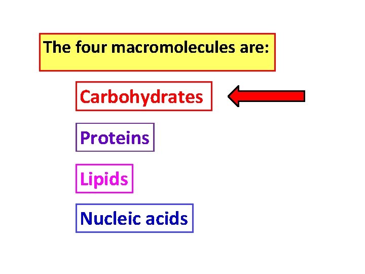 The four macromolecules are: Carbohydrates Proteins Lipids Nucleic acids 