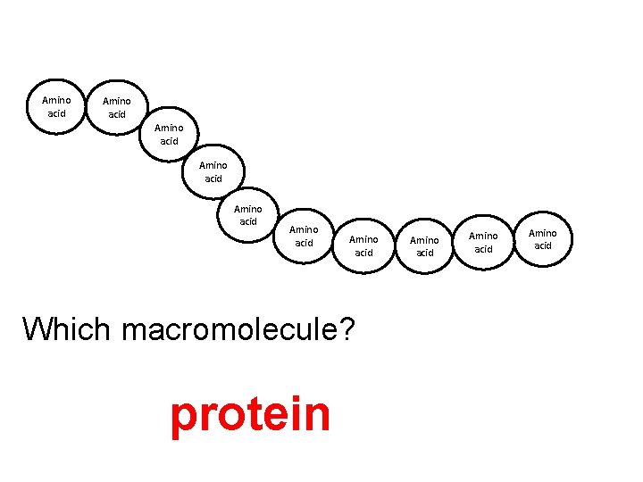 Amino acid Amino acid Which macromolecule? protein Amino acid 