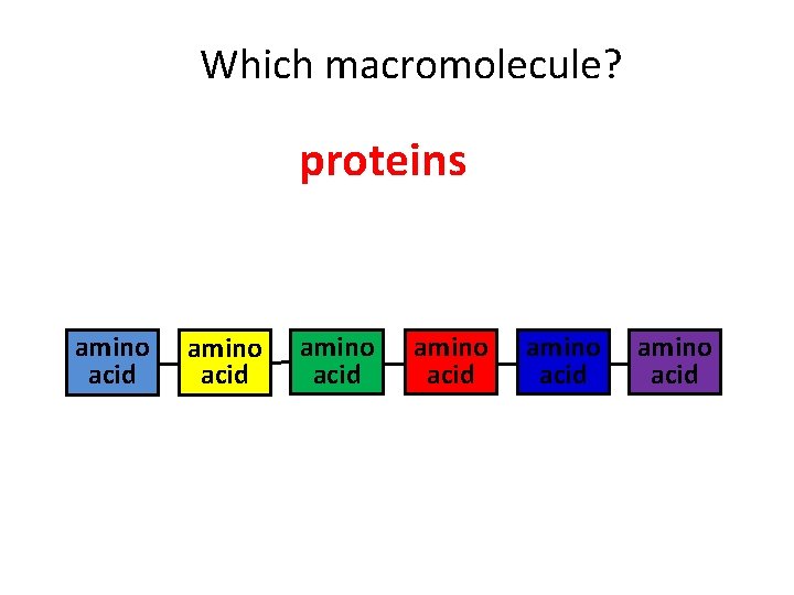 Which macromolecule? proteins amino acid amino acid 