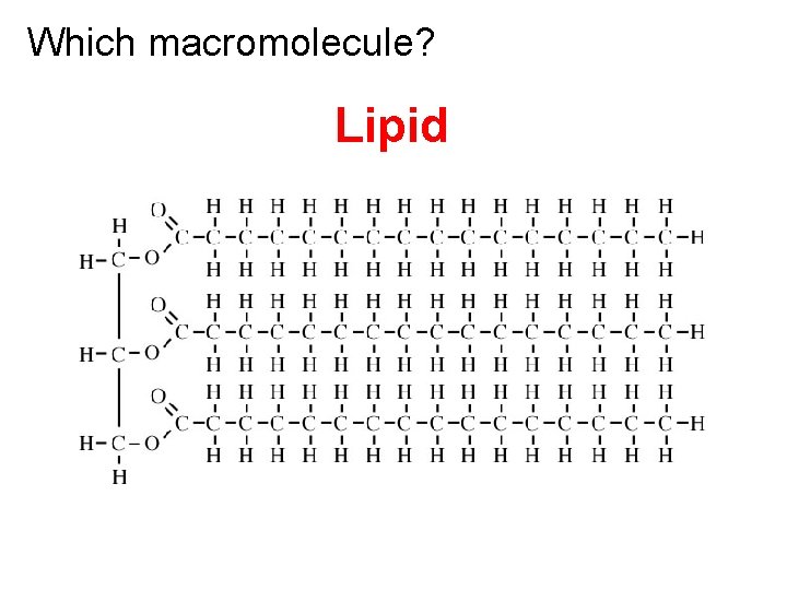 Which macromolecule? Lipid 