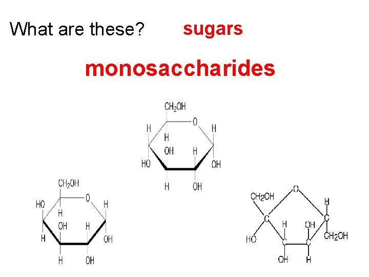What are these? sugars monosaccharides 