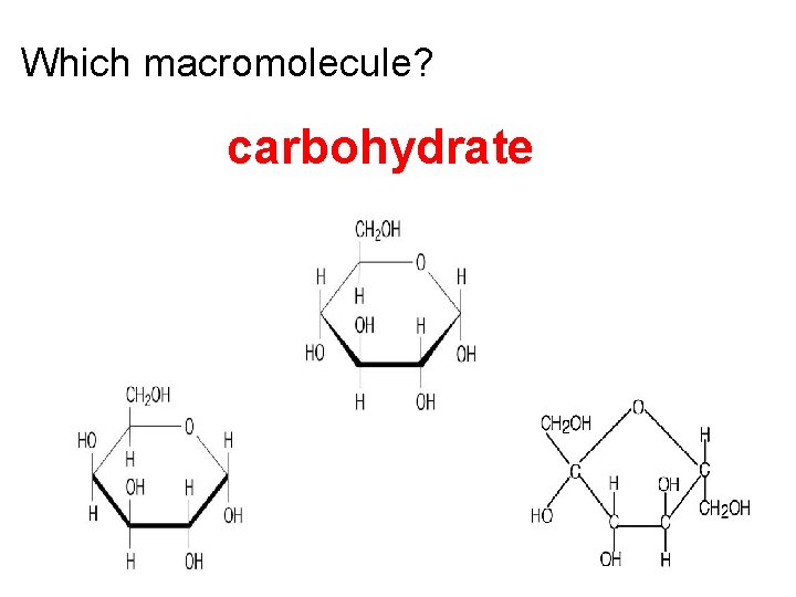 Which macromolecule? carbohydrate 