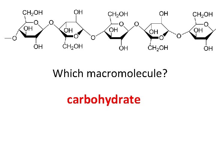 Which macromolecule? carbohydrate 