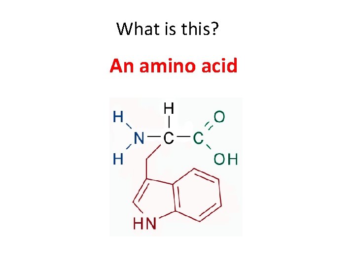 What is this? An amino acid 