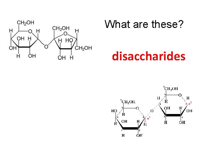 What are these? disaccharides 