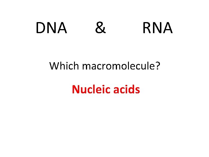 DNA & RNA Which macromolecule? Nucleic acids 