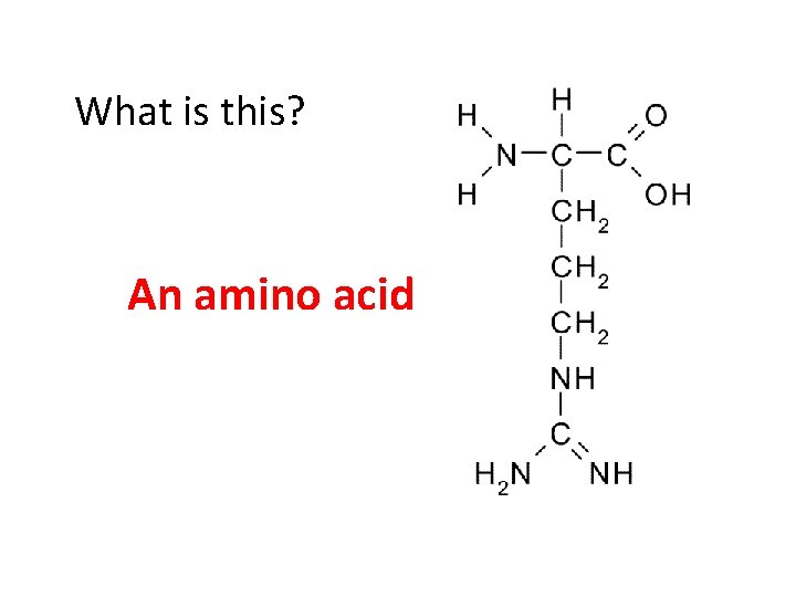 What is this? An amino acid 