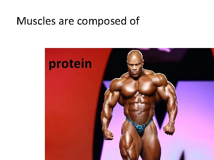 Muscles are composed of protein 